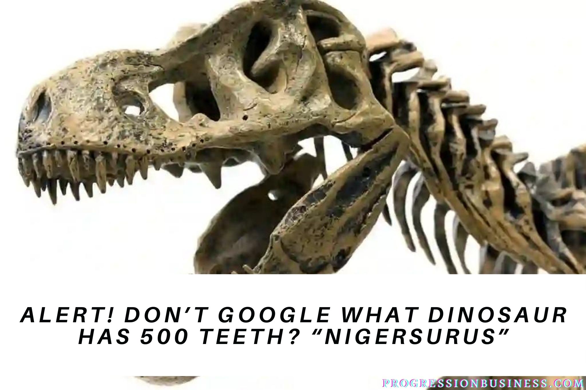 Alert! Don’t Google What Dinosaur Has 500 Teeth? “Nigersurus”