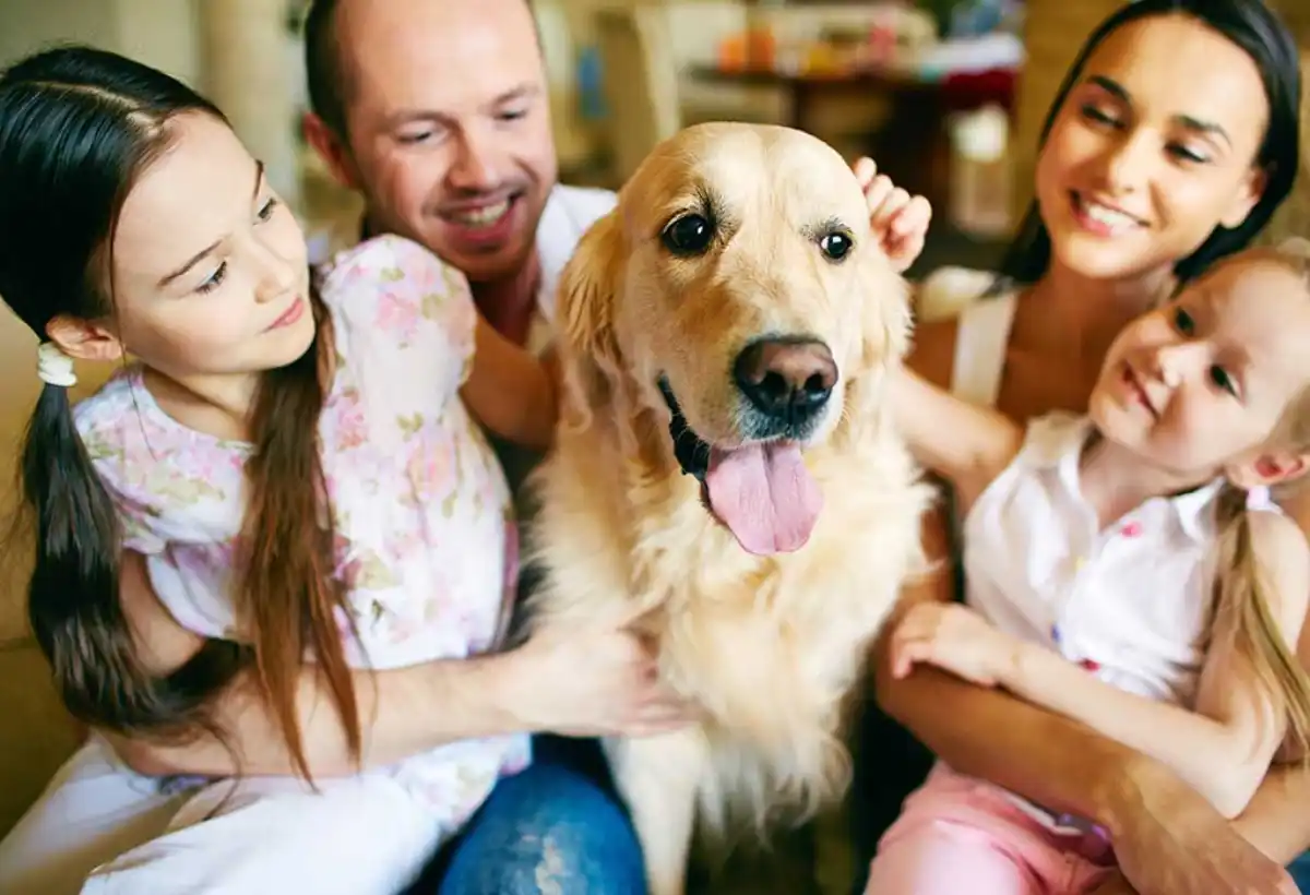 4 Important Tips for Taking Care of a Dog